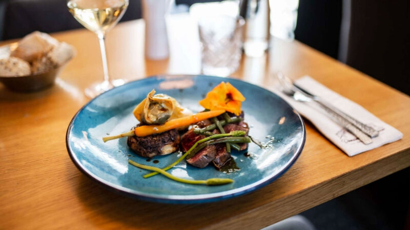 Domaine de Cicé-Blossac — Webdesign par Philippe Gautier